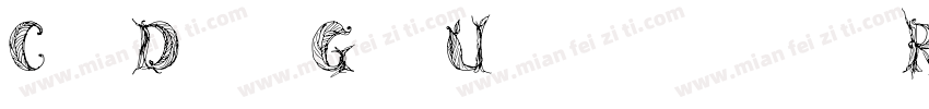 Cf DinGr Unicode Reg字体转换